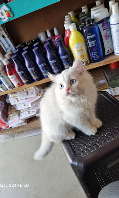 Pet Image